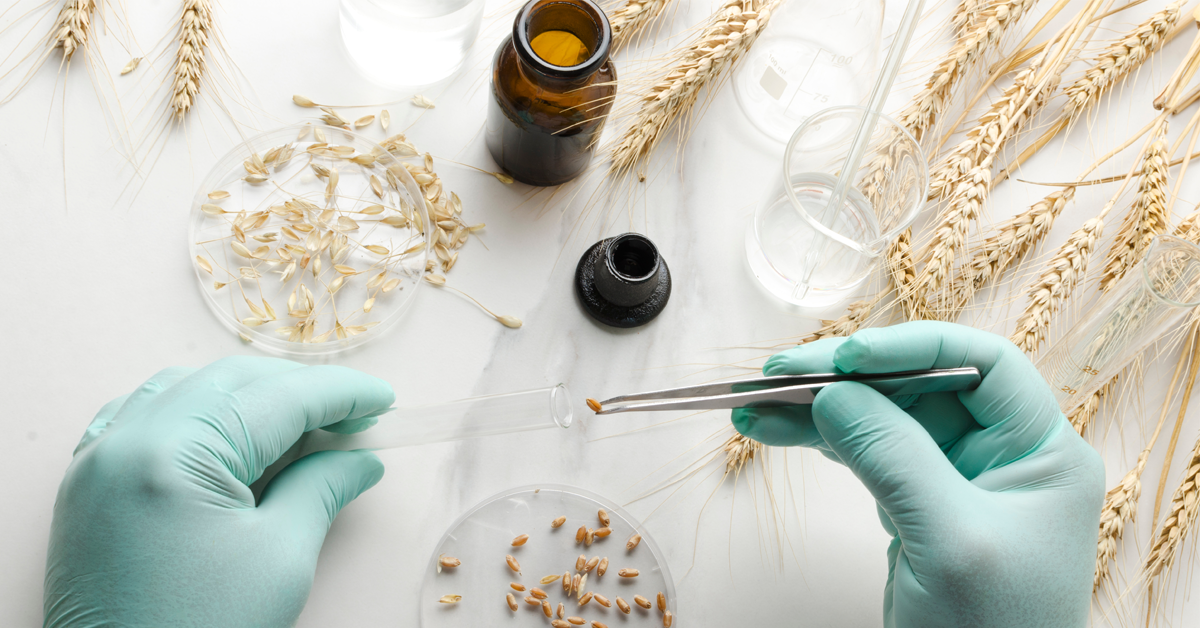food-testing-1200x628