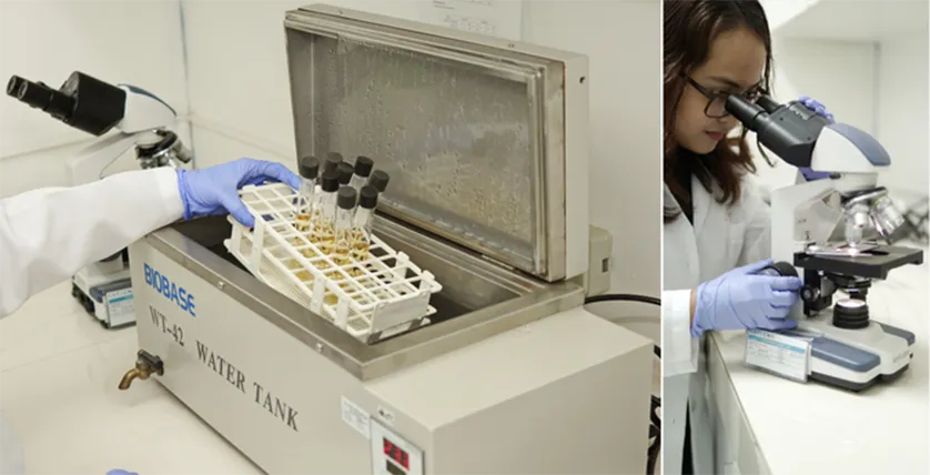 news-global-water-testing-ph