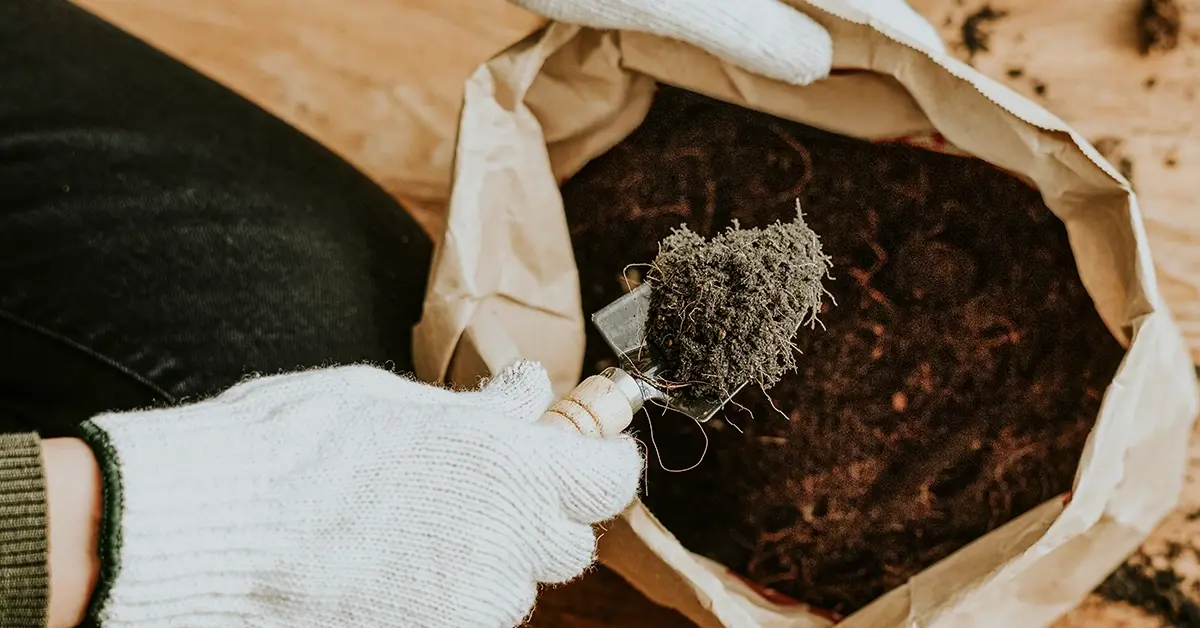 events-fitosoil-fertilizer