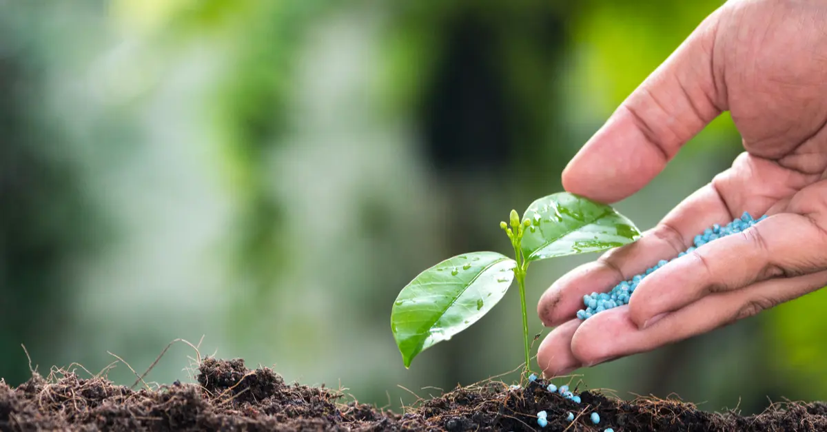 fertilizer-article