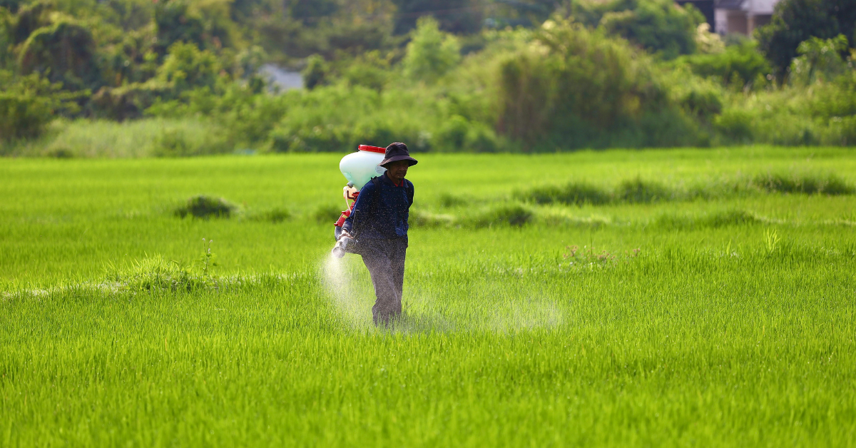 fertilizer-article-promotion