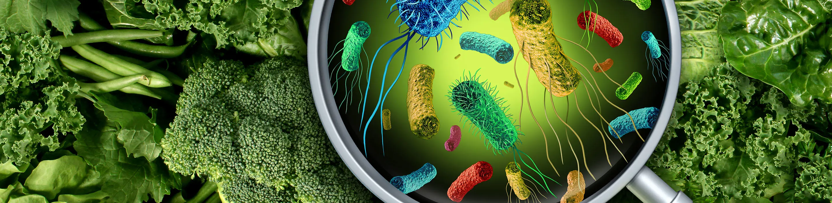 microbiological-header