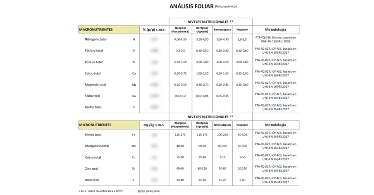 news-the-importance-of-foliar-1