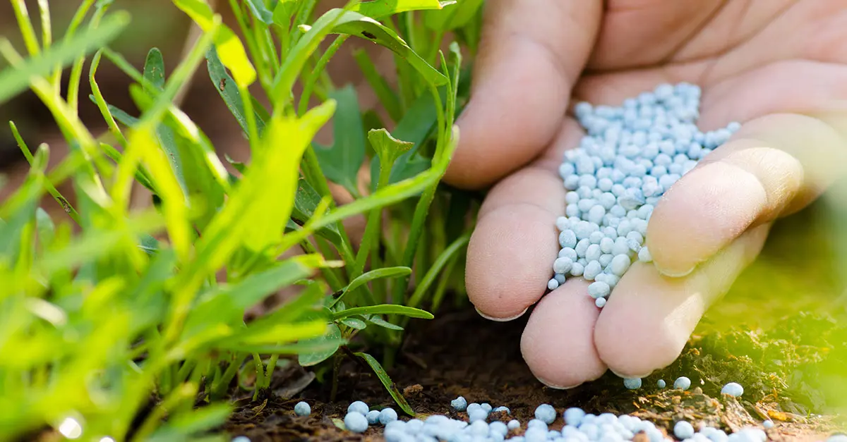 fertilizer-banner
