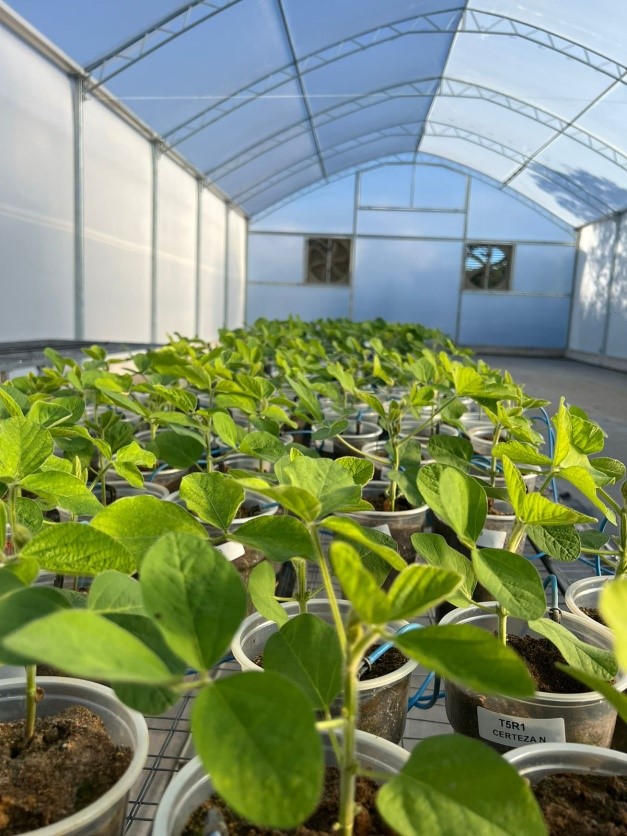 pesticide-article-pic2