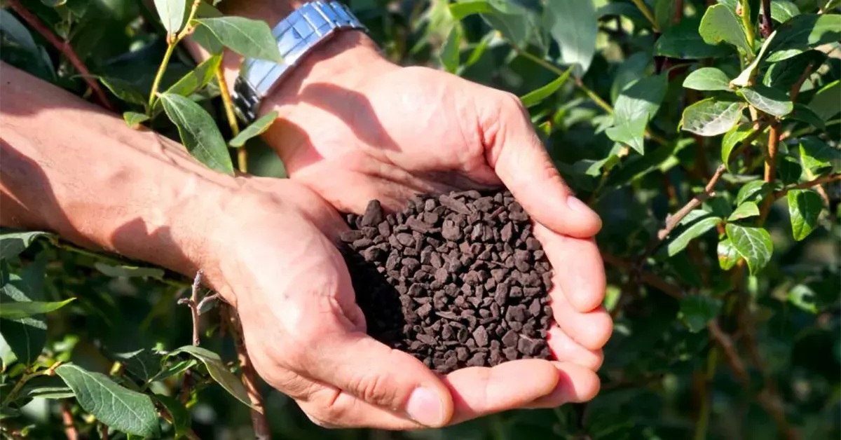 news-supporting-organic-banner
