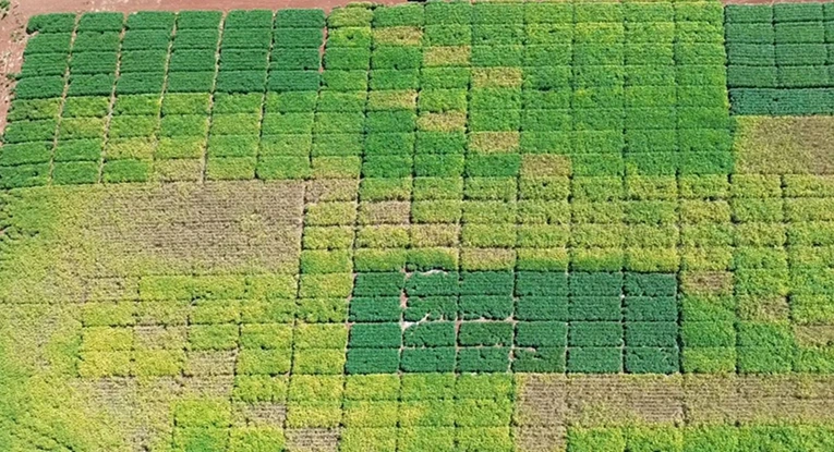 pesticide-article-pic3